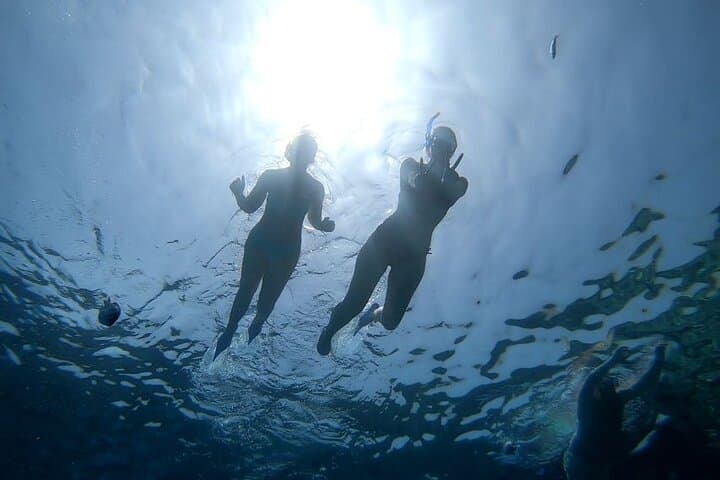 Hurghada to Dolphin House Snorkel Expedition – Swim with Wild Dolphins in the Red Sea photo 5