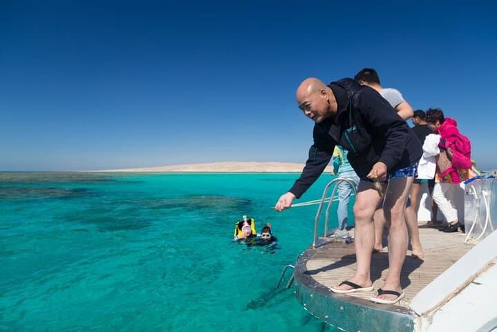 Hurghada to Dolphin House Snorkel Expedition – Swim with Wild Dolphins in the Red Sea photo 3
