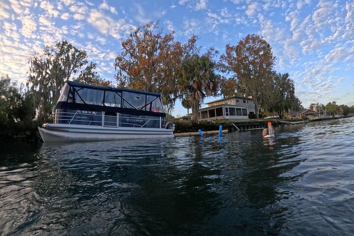 Kings Bay Manatee Watching Cruise — Scenic Covered Boat Tour in Crystal River photo 6