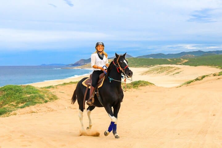 Los Cabos Adventure Combo: UTV Ride, Beach Horseback & Sky Bike Experience photo 6