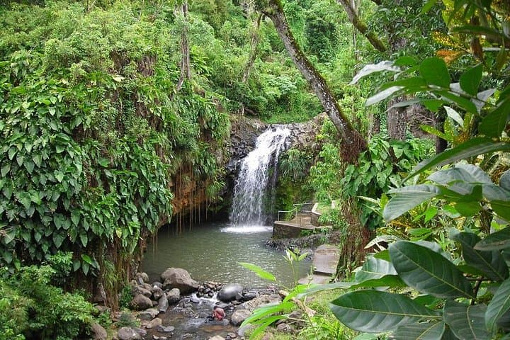 Half-Day in Grenada: Concord Waterfall & Gouyave Chocolate Factory Private Tour photo 5