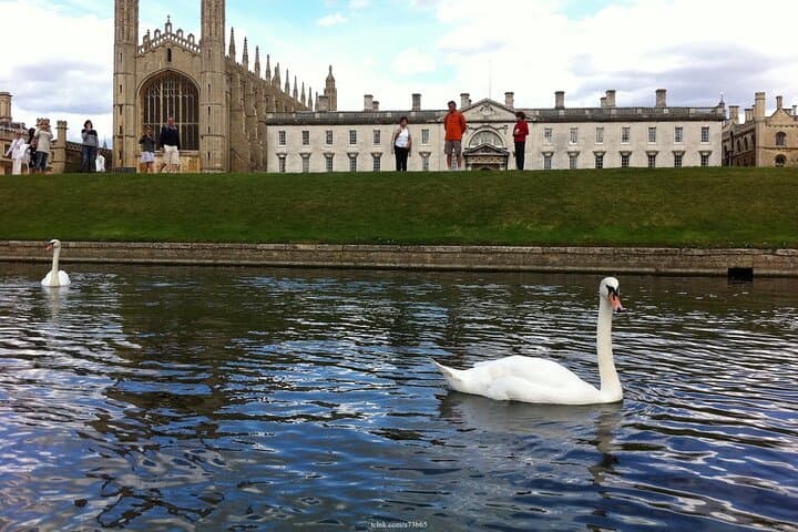 Private Cambridge Walking Tour Including Kings College Chapel photo 6