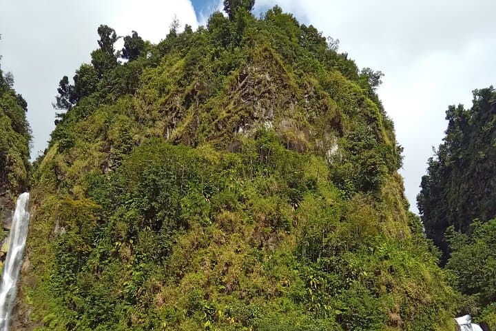 Private Minibus Tour to Trafalgar Falls & Titou Gorge from Roseau photo 4