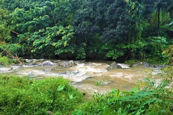 Grenada River Tubing and Annandale Falls Private Tour — Balthazar River Float & Annandale Swim photo 3
