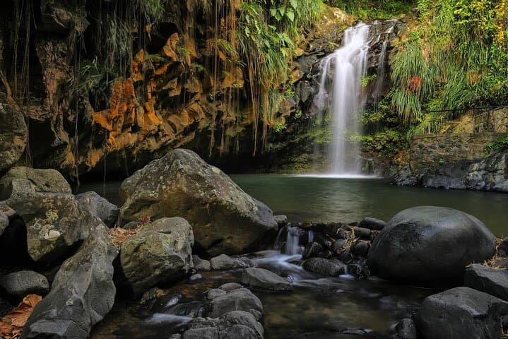 Grenada Spice Gardens, Rum & Chocolate Private Tour photo 3