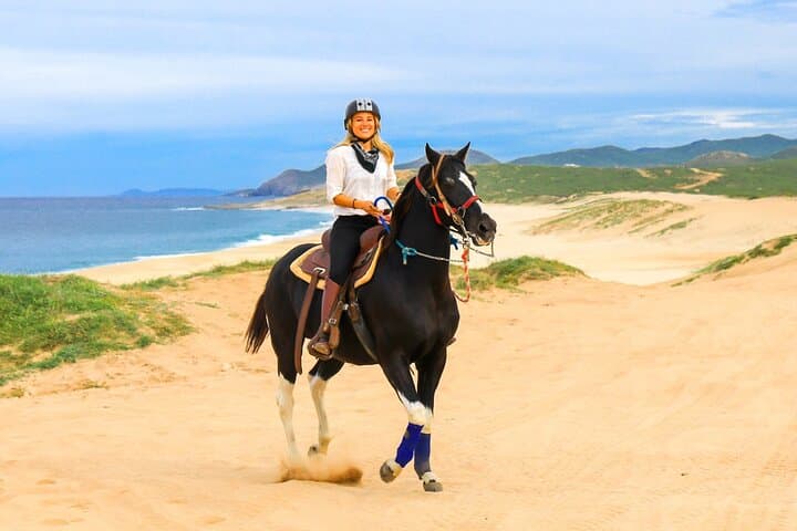 Horseback Riding Beach & Desert Trails in Cabo — Cactus Tours photo 5