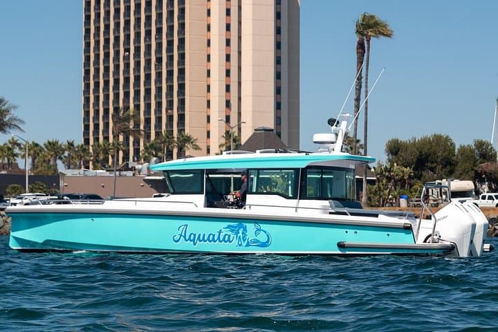 Private Luxury Speedboat Cruise in Mission Bay — 2-Hour San Diego Charter photo 3