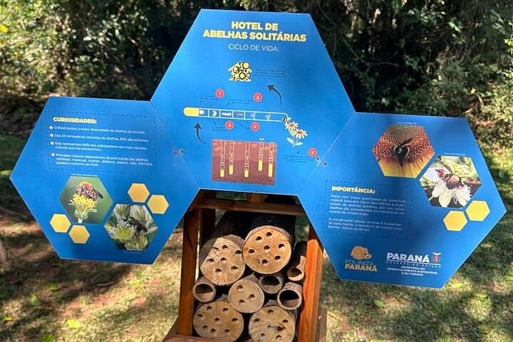 Explore Vila Velha State Park: Sandstone Sculptures, Golden Lagoon & Furnas (Day Tour from Curitiba) photo 2