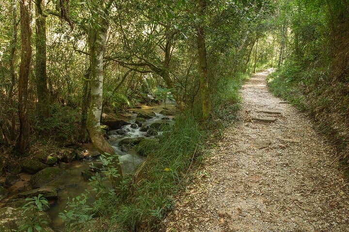 Vila Velha State Park & Buraco do Padre: Day Tour from Curitiba to Paraná's Sandstone Wonders
