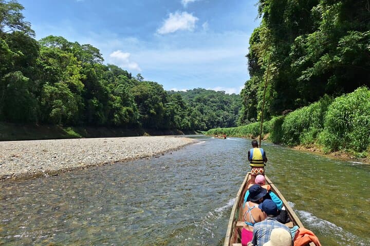Embera Village and Chagres Waterfall Canoe Tour from Panama City photo 2