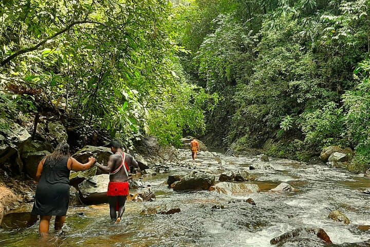Embera Village and Chagres Waterfall Canoe Tour from Panama City photo 5