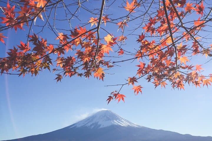 Private Luxury Day Tour to Mt. Fuji, Lake Kawaguchi & Thatched Villages photo 2