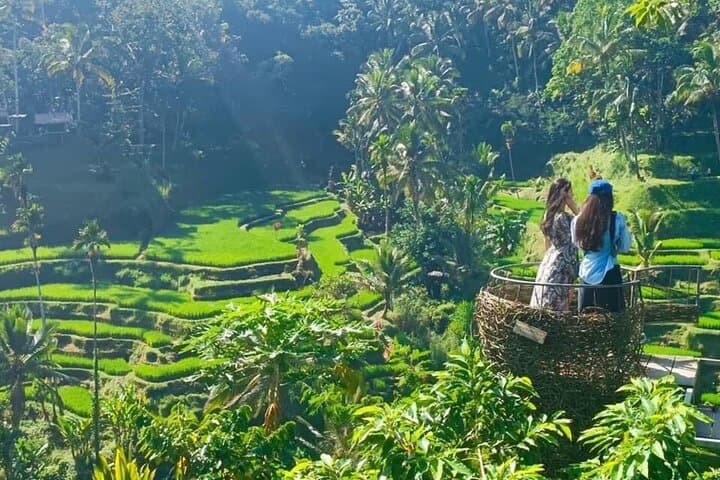 Ubud Waterfalls, Temple & Rice Terrace Guided Tour — Best Full-Day Ubud Experience photo 5