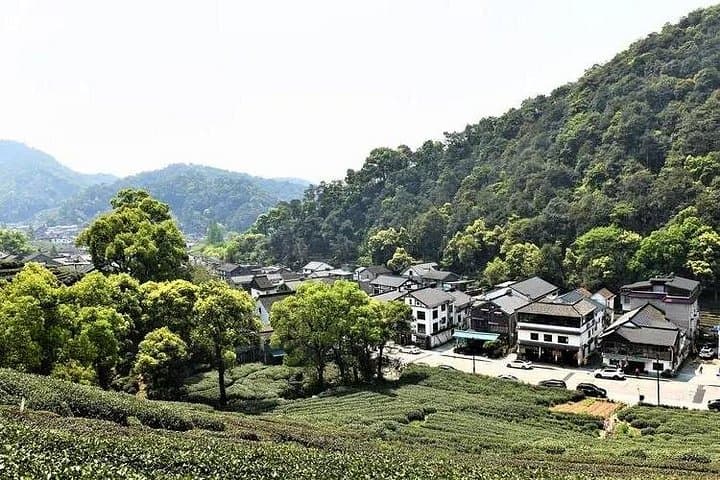 Hangzhou Day Tour from Shanghai: West Lake, Lingyin Temple & Longjing Tea photo 4