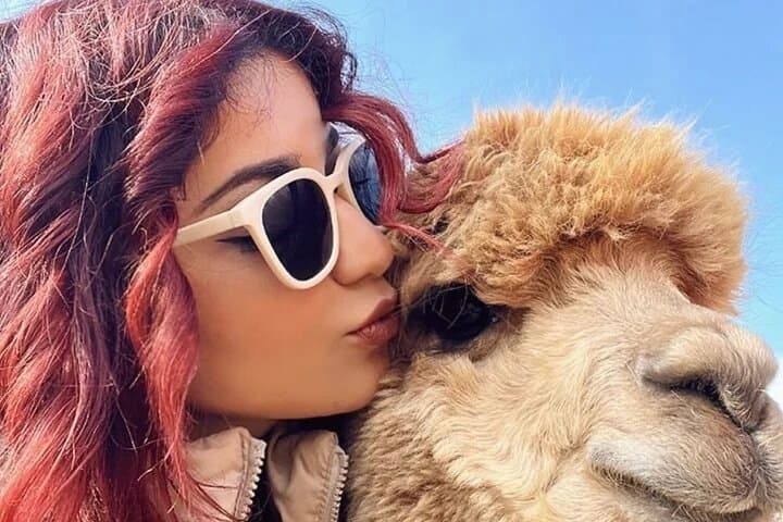 Family Alpaca Farm Day Trip in Shamakhi — Diri Baba, Wine Lunch & Photos photo 3