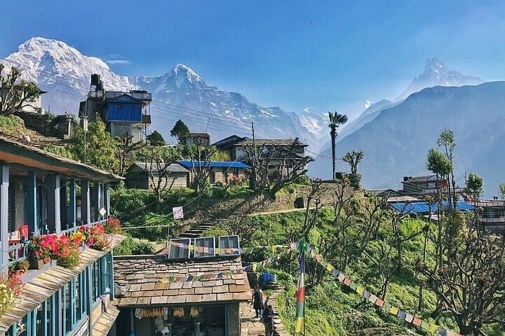4-Day Mardi Himal Base Camp Trek from Pokhara — Private Guided Trek photo 2