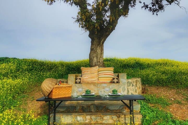 Luxury Countryside Picnic at Herdade Foz da Represa, Mértola photo 5