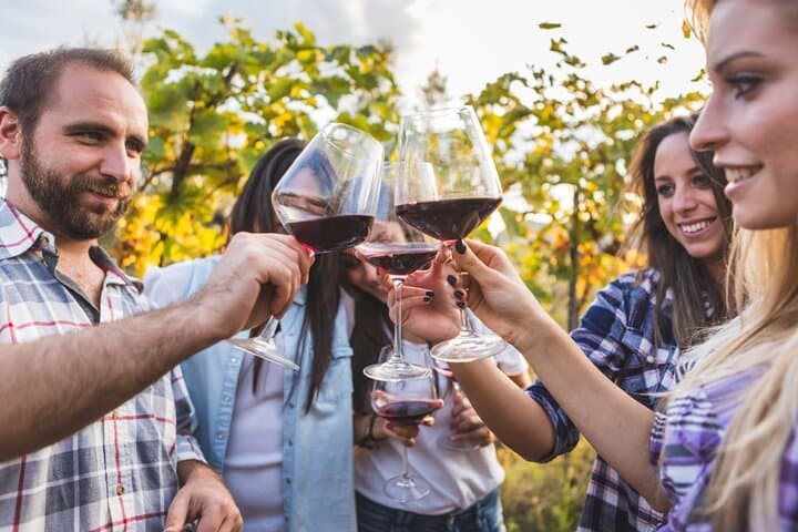 Private Full-Day Tuscan Wine Tour: Chianti Wineries, Lunch & Tastings