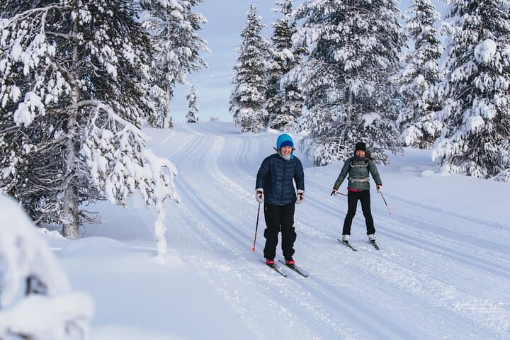 Intro to Cross-Country Skiing in Saariselkä: 90-Minute Arctic Forest Loop