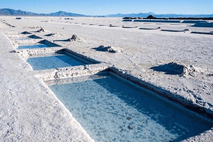 Two Full-Day Tours from Salta: Cafayate Wine Route & Salinas Grandes Salt Flats