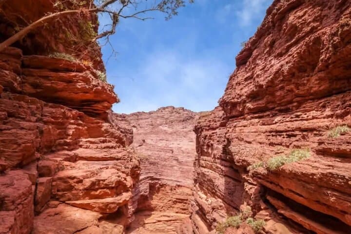 Two-Day Tours from Salta to Cafayate and Humahuaca: Quebrada de las Conchas, Wine and Andean Culture photo 6