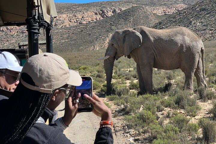Big Five Safari from Cape Town — Day Trip to a Private Game Reserve photo 4