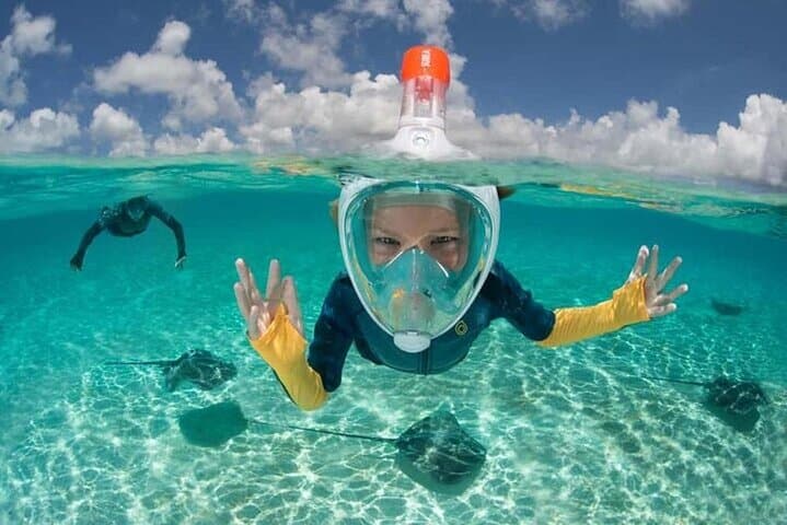 Swim with Dolphins and Snorkel Giftun Island from Hurghada photo 4