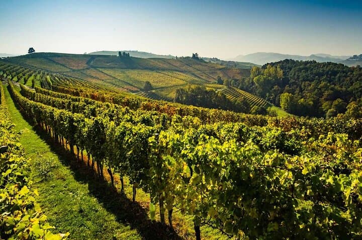 Private Full-Day Tuscan Wine Tour: Chianti Wineries, Lunch & Tastings photo 3