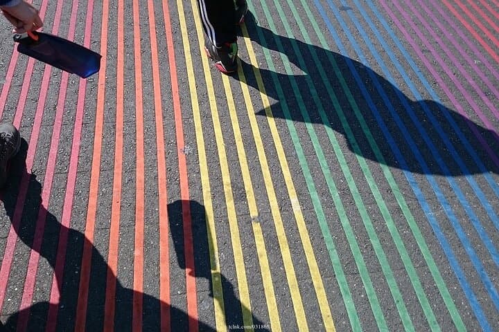 Castro & Mission Private Half-Day Walking Tour — Murals, History & Dolores Park Views photo 6