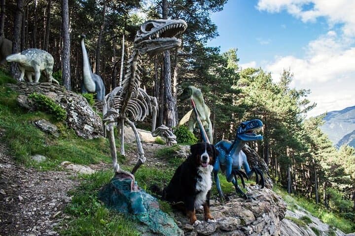 Full-Day Private Tour to Andorra from Barcelona — Pyrenees Villages, Views & Shopping photo 4