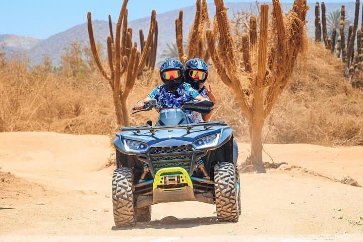 Cabo ATV Tour: Desert Ridges to Migrino Beach and Whale-Spotting