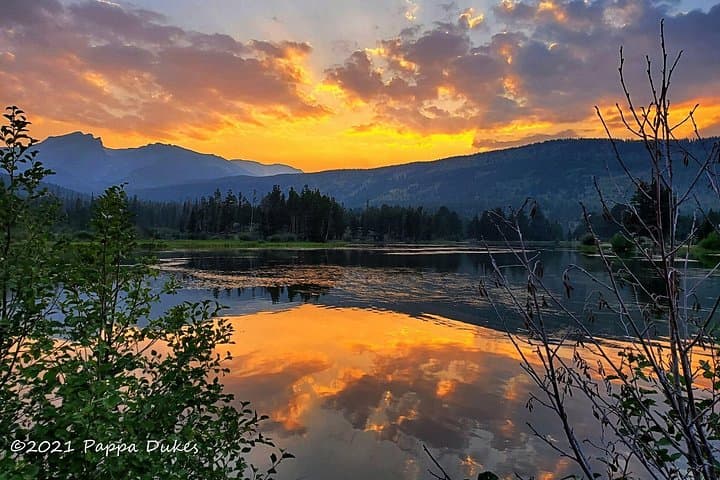 Sunset Wildlife Photo Tour in Rocky Mountain National Park photo 2