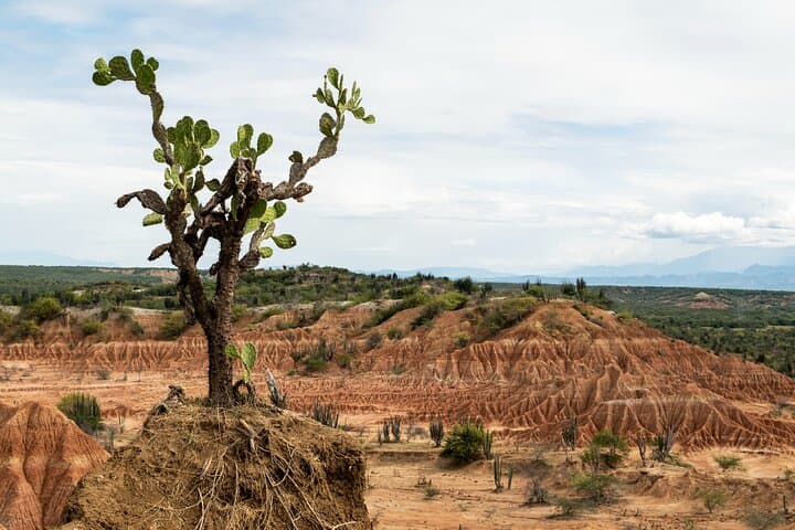 Private Transfer Neiva to San Agustín — 5‑Hour Drive Through Huila’s Highroads photo 3