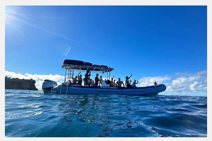 Kihei Morning 1.5-Hour Whale Watch with Hydrophone — Humpback Sightings photo 5