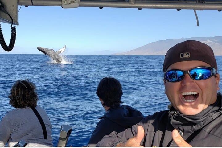 Kihei Morning 1.5-Hour Whale Watch with Hydrophone — Humpback Sightings photo 3