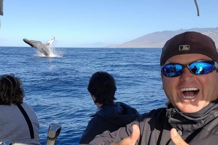 Kihei Whale Watch: 1.5-Hour Hydrophone Cruise for Humpback Encounters photo 3
