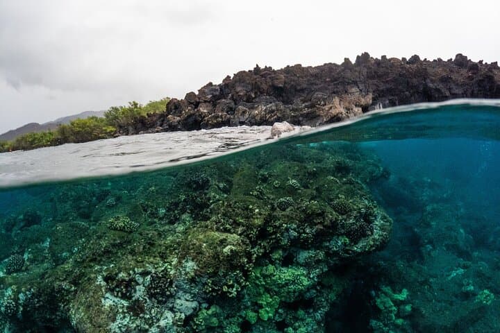 Molokini Snorkel & Maui Whale Watch — 2.5-Hour Express Adventure photo 4