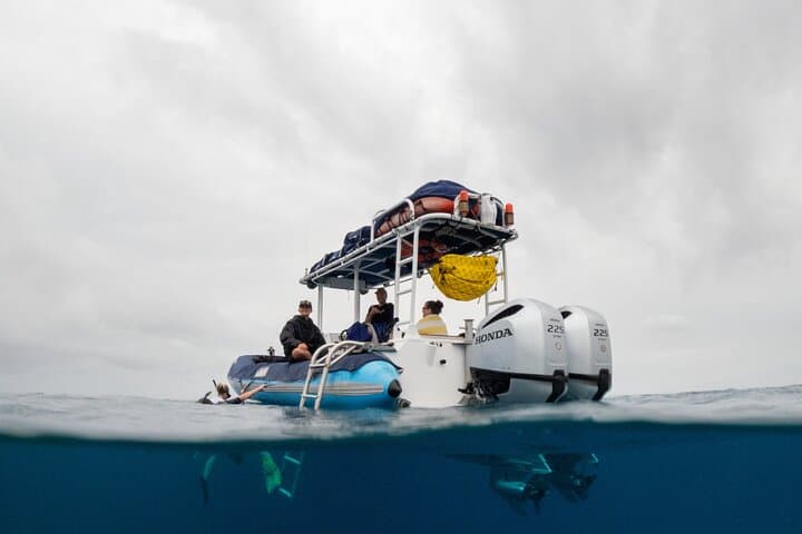 Molokini 2-Hour Express Snorkel from Kihei — Beat the Crowds photo 5