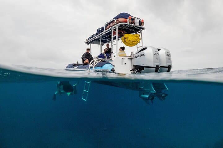 Molokini & Turtle Town: Best 3-Hour Snorkel from Kihei, Maui photo 4