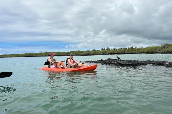 Galapagos 5-Day Hotel-Based Wildlife & Snorkel Tour — San Cristóbal & Santa Cruz photo 6