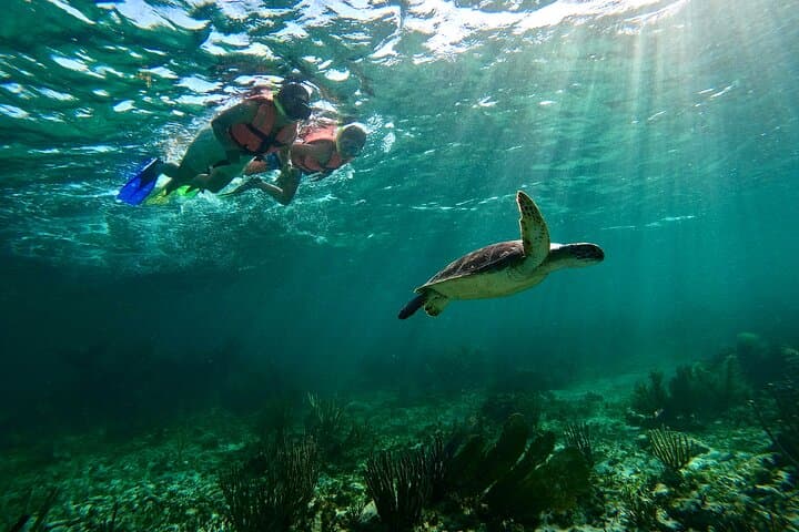 Snorkel Puerto Morelos: Guided Trip to the Mesoamerican Reef