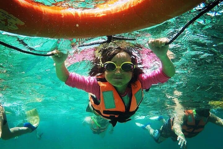 Snorkel Puerto Morelos: Guided Trip to the Mesoamerican Reef photo 3