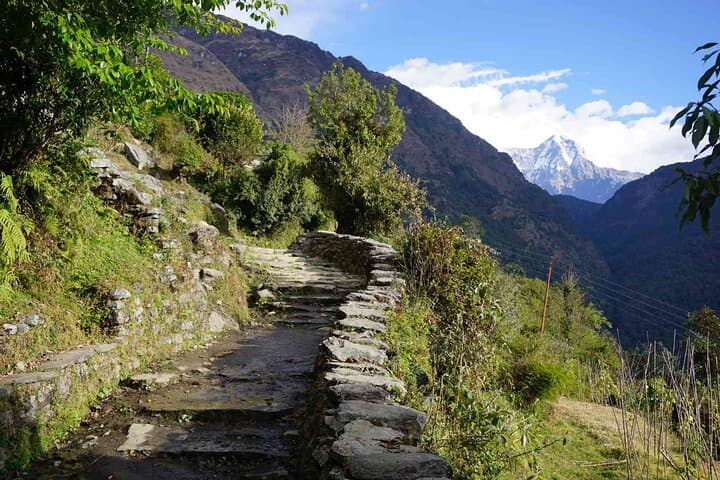 Pokhara 9-Day Private Trek: Poon Hill & Annapurna Base Camp Adventure photo 5