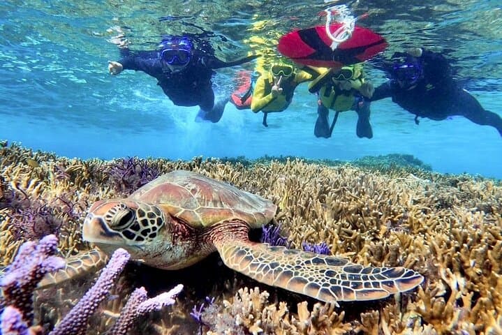 Miyako Island Combo: SUP, Sea Turtle Snorkel & Pumpkin Cave Canoe Adventure photo 4