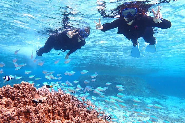 Miyako Island Sea Turtle Snorkeling and SUP: Full-Day Ocean Adventure photo 2