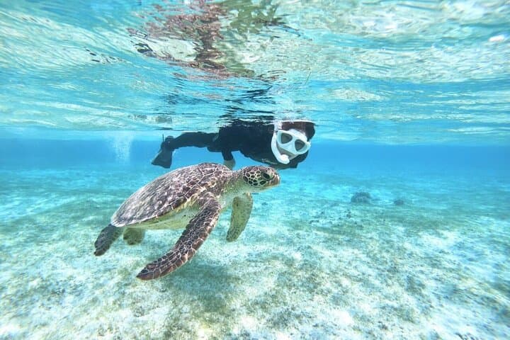 Miyako Island SUP, Canoe & Sea Turtle Snorkel — Full-Day Ocean Adventure photo 3