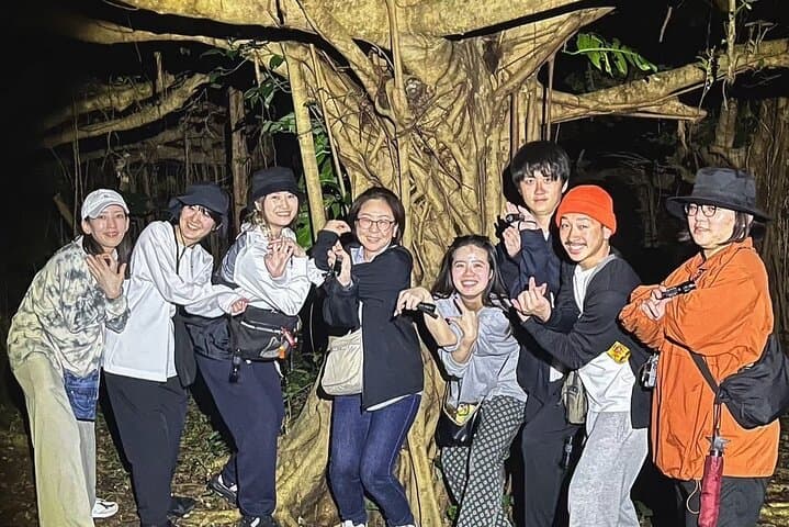 Miyako Island Night Jungle & Stargazing Tour — Coconut Crabs and Starry Skies photo 4