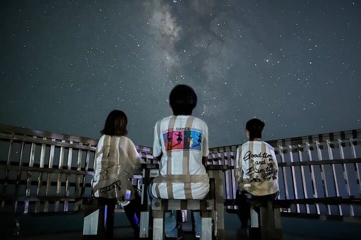 Miyako Island Night Jungle & Stargazing Tour — Coconut Crabs and Starry Skies photo 3