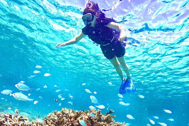 Snorkel Miyako's Natural Aquarium: Tropical Coral & Turtle Snorkeling Tour photo 4