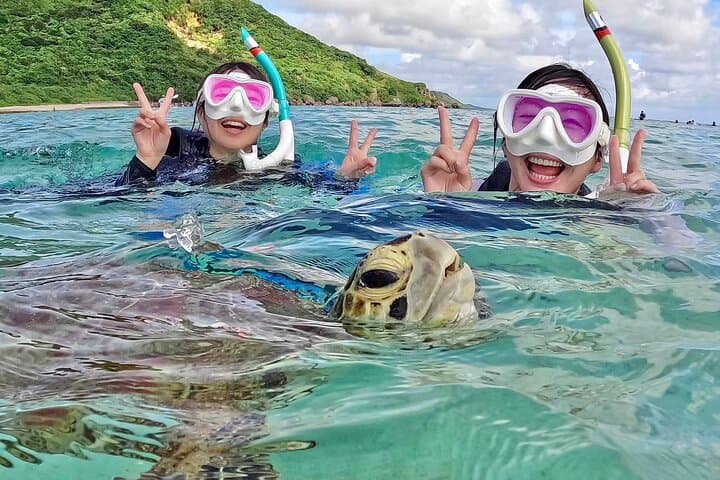 Miyako Island Sea Turtle Snorkeling: Half-Day Snorkel with High Turtle Encounters photo 6